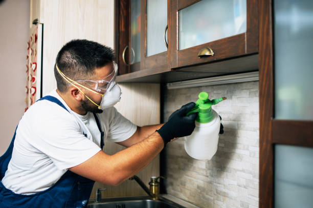 Best Pest Control for Businesses  in Lynchburg, OH
