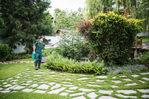 Best Commercial Pest Control Services  in Lynchburg, OH