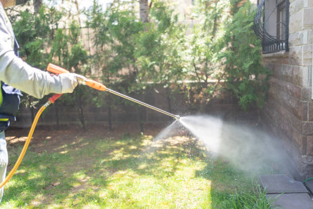 Best Pest Control Treatment  in Lynchburg, OH