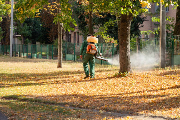 Best Termite Control Services  in Lynchburg, OH