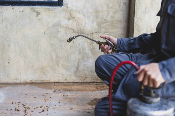 Best Wasp Removal Services  in Lynchburg, OH