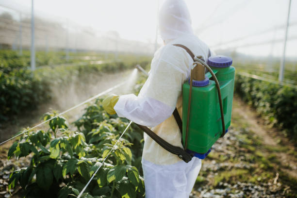Best Pest Removal Services  in Lynchburg, OH